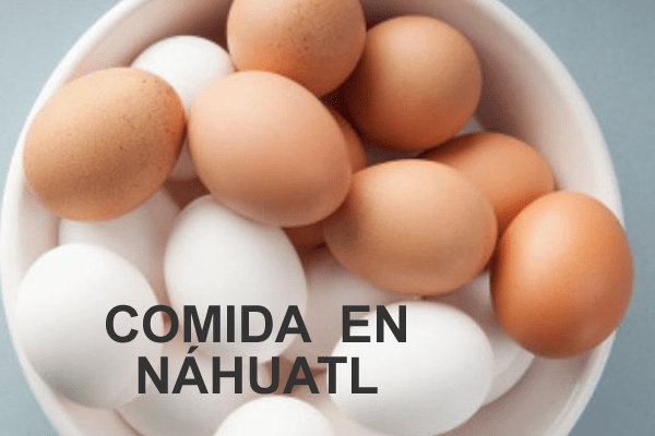 Gastronomía Náhuatl: Palabras básicas
