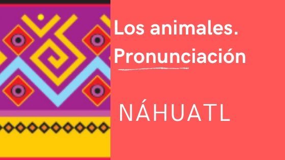 animales-pronunciacion-nahuatl
