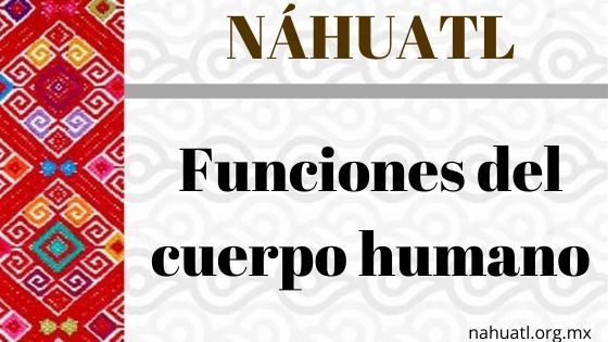 nahuatl-funciones-vocabulario