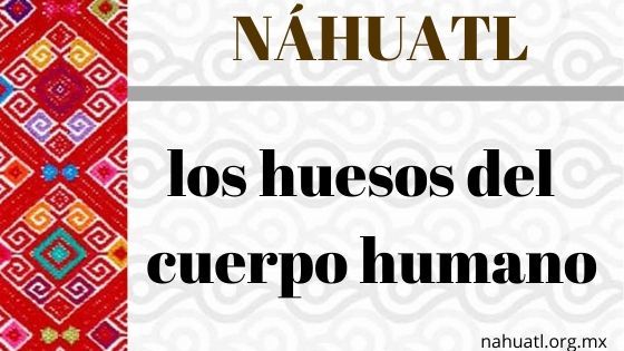nahuatl-huesos-vocabulario