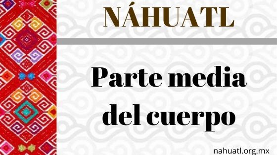 nahuatl-parte-media-cuerpo