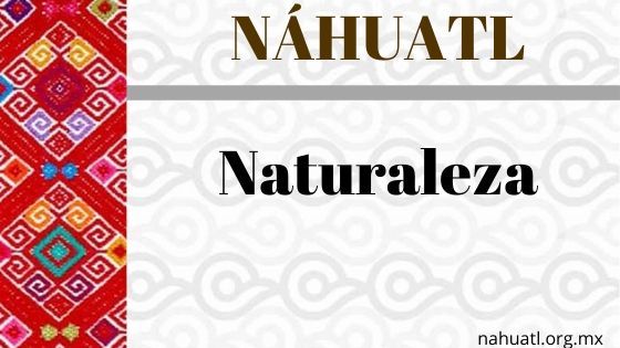 naturaleza-nahuatl-vocabulario