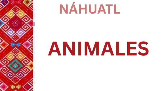Animales del Mar en Náhuatl